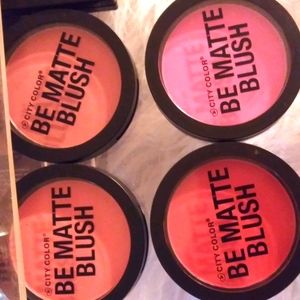 Brand NEW Blush Bundle